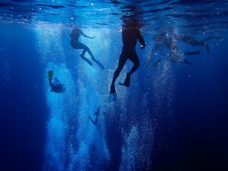 学生们穿着潜水衣和脚蹼在水下的气泡中浮潜